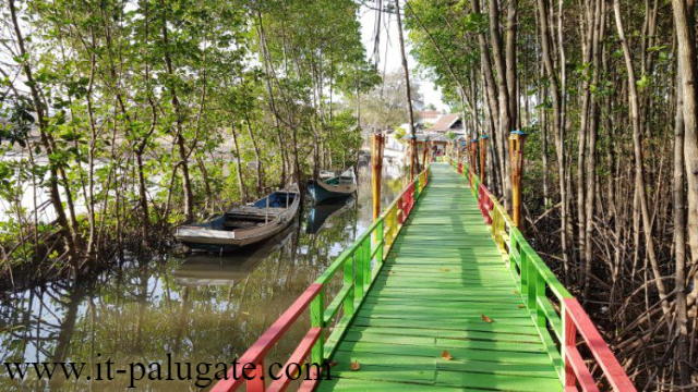 Destinasi Wisata Mangrove Rara Kekinian Di Jeneponto