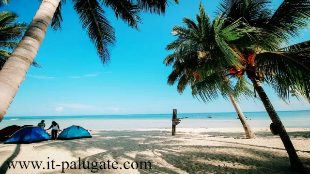 Destinasi Wisata Pesona Pantai Kaluku